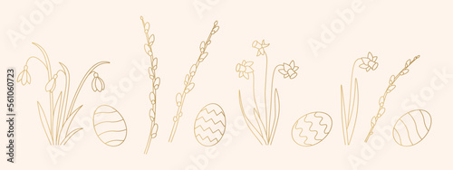 Easter golden banner with daffodils, snowdrops, willow catkins branches and eggs - vector illustration photo