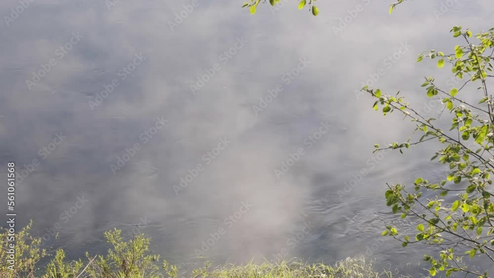 Foggy summer morning with birdsong, spring birds singing, nightingale, birdsong Foggy summer morning with birdsong, spring birds singing, nightingale, birdsong