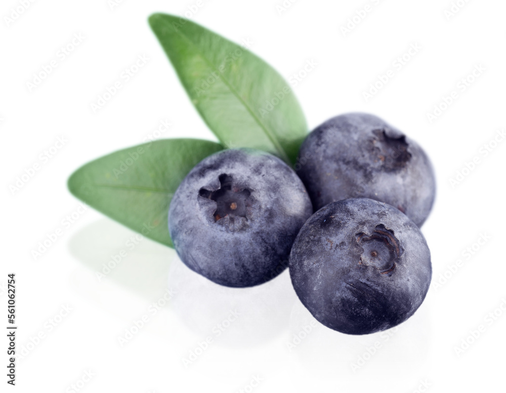 Blueberries isolated on white background Blueberries isolated on white background