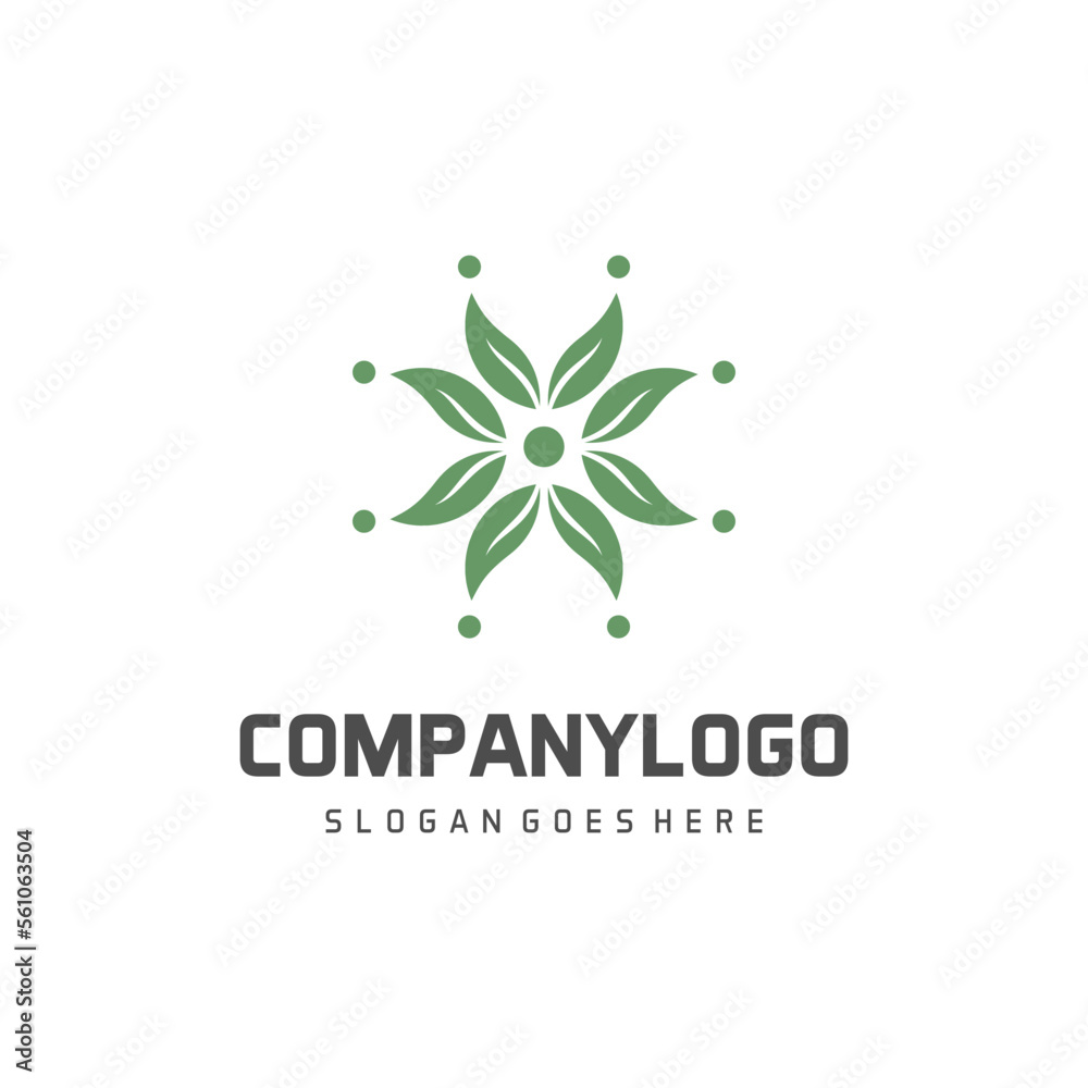 Leaf logo  colorful design illustrations