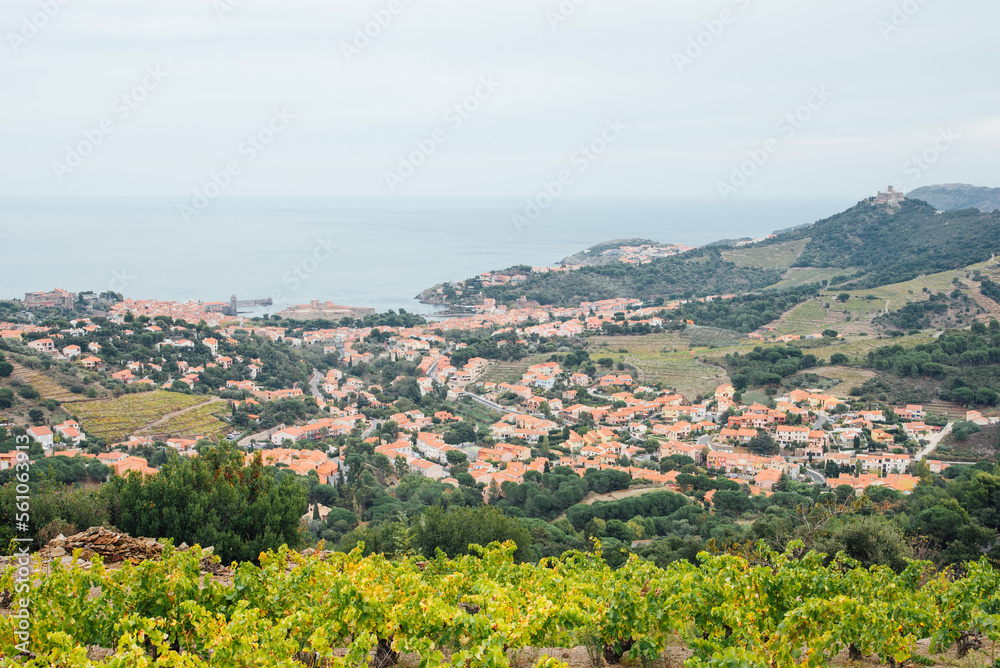 Obraz premium Vue sur le village de Collioure. Panorama du village et de la campagne de Collioure. Le littoral du bord de mer. Littoral du Languedoc Roussillon
