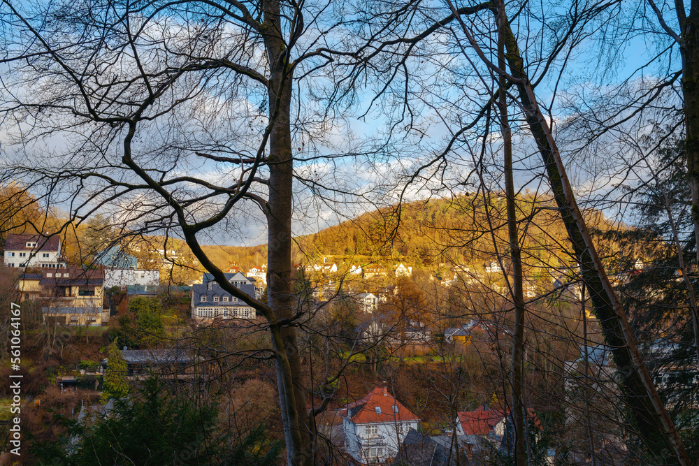 Blick durch Bäume auf Marbach in Marburg, Häuser Wald