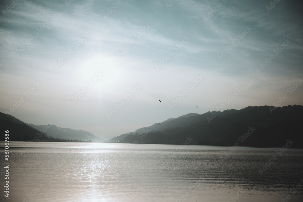 Gegenlicht am See Gegenlicht am See