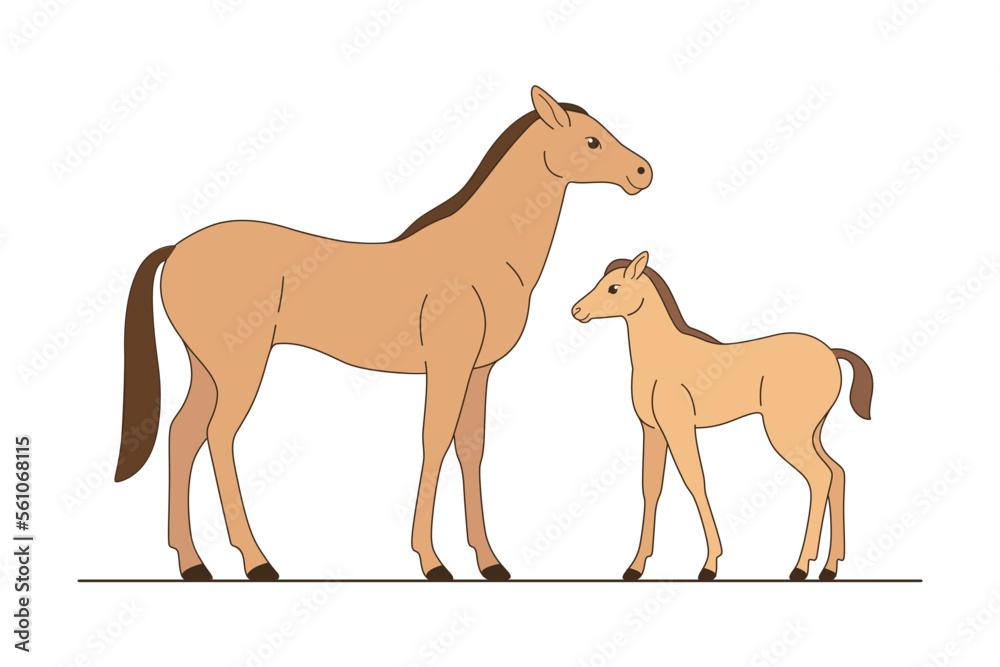 Horse and young colt. lllustration of mom and her baby. Vector illustration with farm animals in cartoon style.