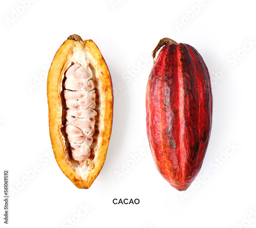 Creative layout made of cacao fruit on the white background. Flat lay. Food concept. Macro concept. photo