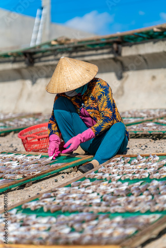 Workers dry fish in fishing village in Phuoc Tinh beach, Vung Tau, Vietnam. Traditional dried croaker fish drying on racks. Lifestyle concept