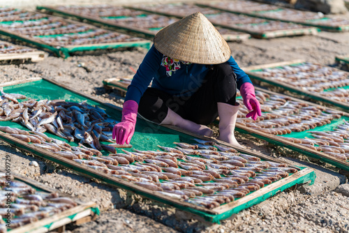 Workers dry fish in fishing village in Phuoc Tinh beach, Vung Tau, Vietnam. Traditional dried croaker fish drying on racks. Lifestyle concept