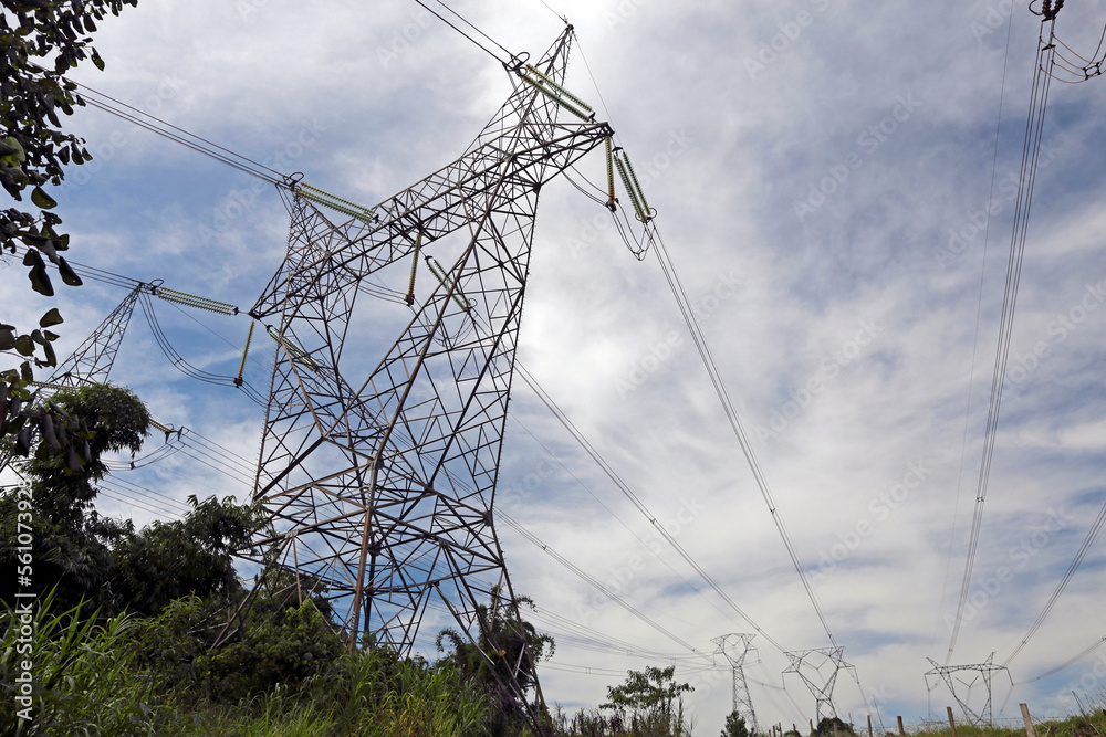 Electricity transmission tower crossing plantation