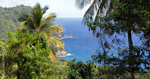 Panoramic of the south coast  Dominica Island