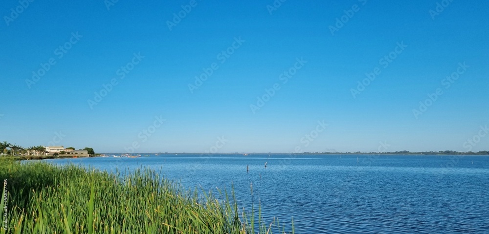freshwater lake with vegetation around, place inside the city to relax