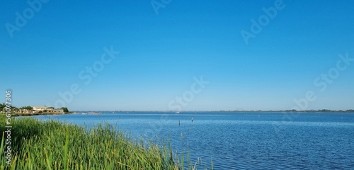 freshwater lake with vegetation around, place inside the city to relax