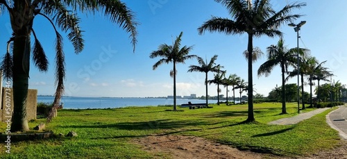 freshwater lake surrounded by palm trees and vegetation, shadows to rest.