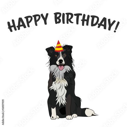 Happy birthday card with dog, holiday design. Present for a dog lover. Funny cartoon dog breed illustration.  Minimalistic greeting card. Fun black border collie dog in hat character party postcard.
