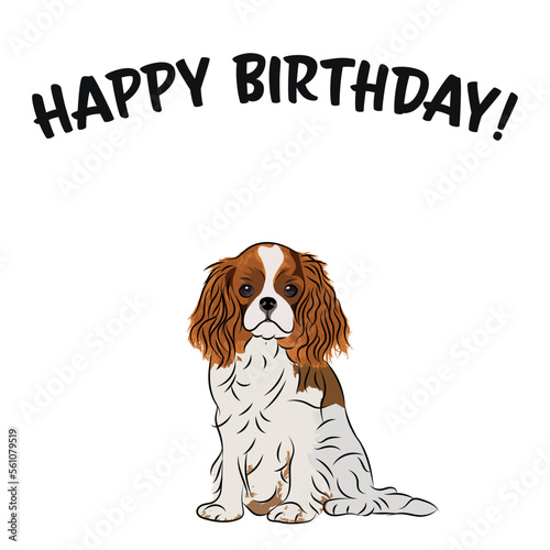 Happy birthday card with dog, holiday design. Present for a dog lover. Funny cartoon dog breed illustration.  Minimalistic greeting card.Fun Cavalier King Charles spaniel dog character party postcard.