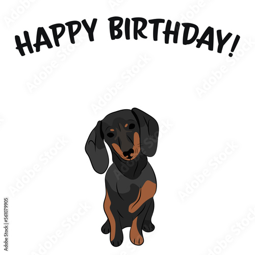 Happy birthday card with balck dog, holiday design. Present for a dog lover. Funny cartoon dog breed illustration.  Minimalistic greeting card. Fun Doxie dog character party postcard.