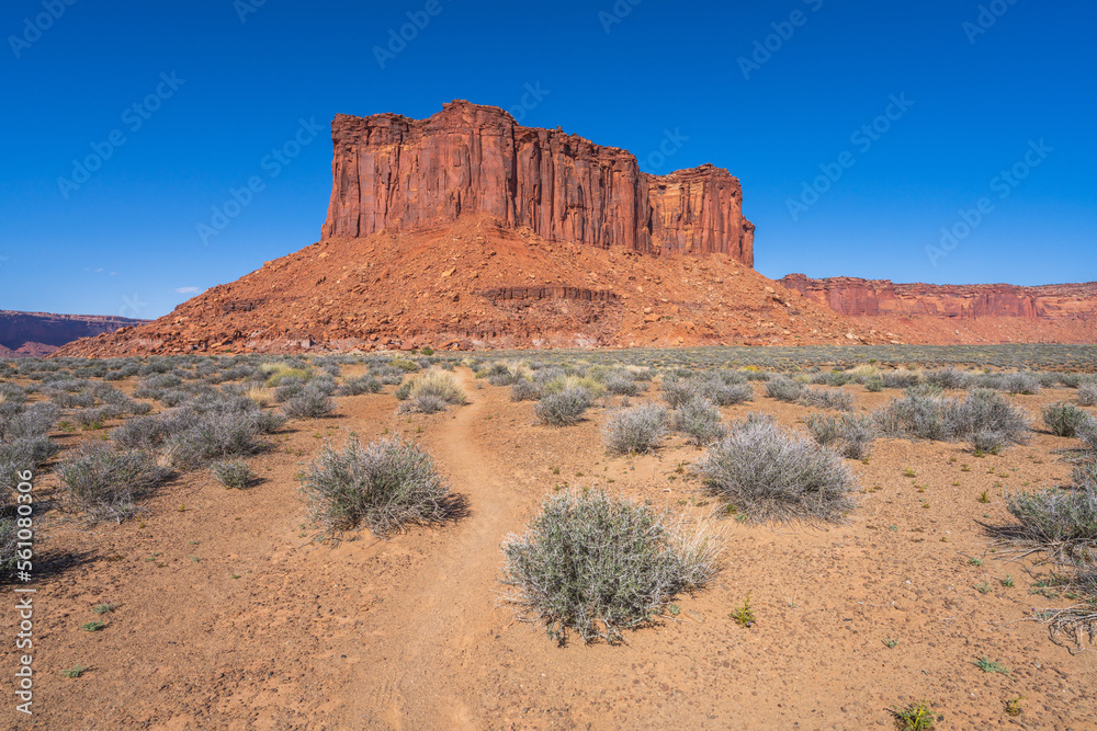 hiking the murphy trail loop in the island in the sky in canyonlands national park, usa hiking the murphy trail loop in the island in the sky in canyonlands national park, usa