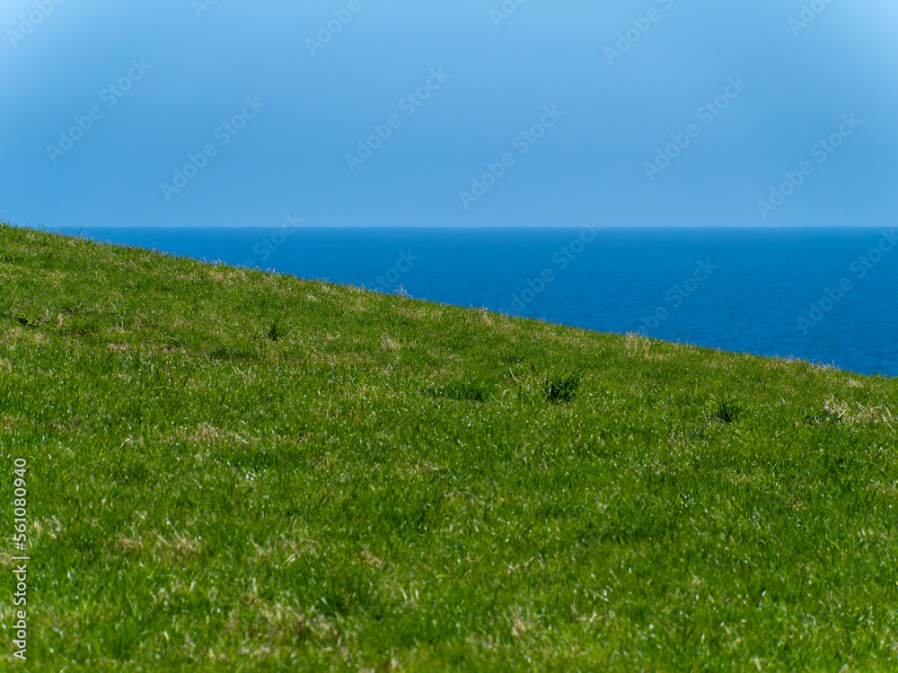The green coast and the sea under the blue sky. Minimalistic landscape. Green grass field near blue sea under blue sky