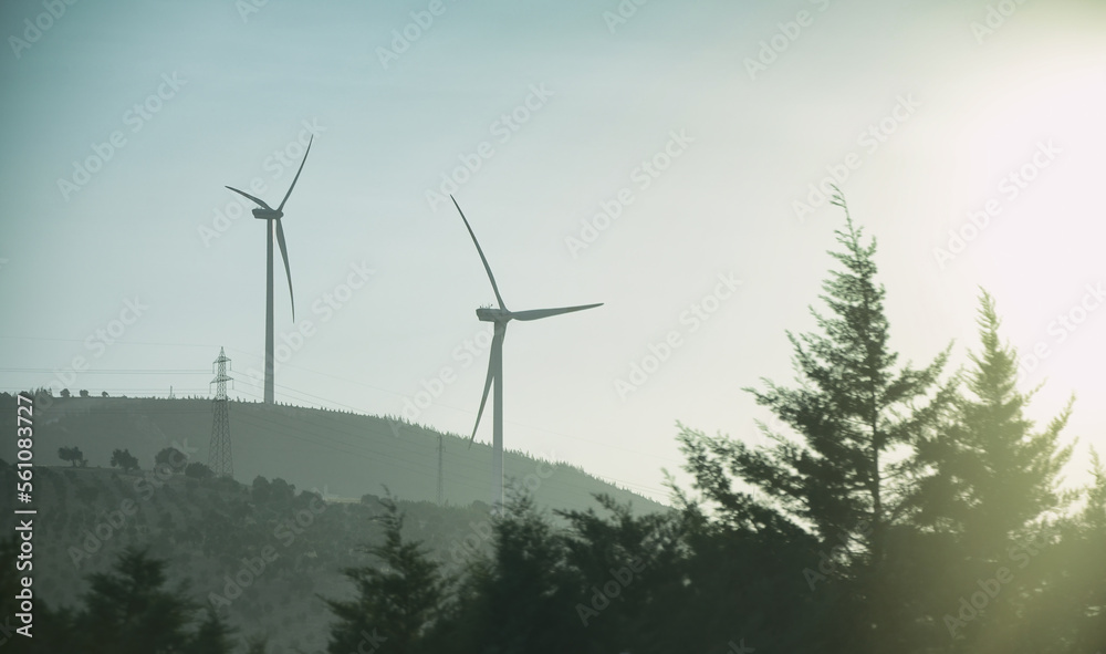 Wind Turbines And Pine Trees, Hatay, Turkey Wind Turbines And Pine Trees, Hatay, Turkey