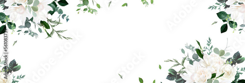 Ivory roses, white peony and magnolia, cedar, fern, eucalyptus, fern, salal, greenery, vector horizontal design banner