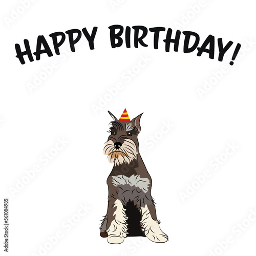 Happy birthday card with dog, holiday design. Present for a dog lover. Funny cartoon dog breed illustration.  Minimalistic greeting card. Fun 
Miniature Schnauzer dog in hat character postcard.