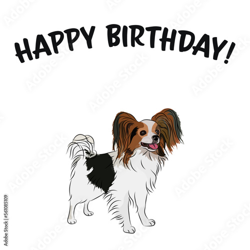 Happy birthday card with dog, holiday design. Present for a dog lover. Funny cartoon dog breed illustration.  Minimalistic greeting card. Fun Papillon dog in hat character postcard.