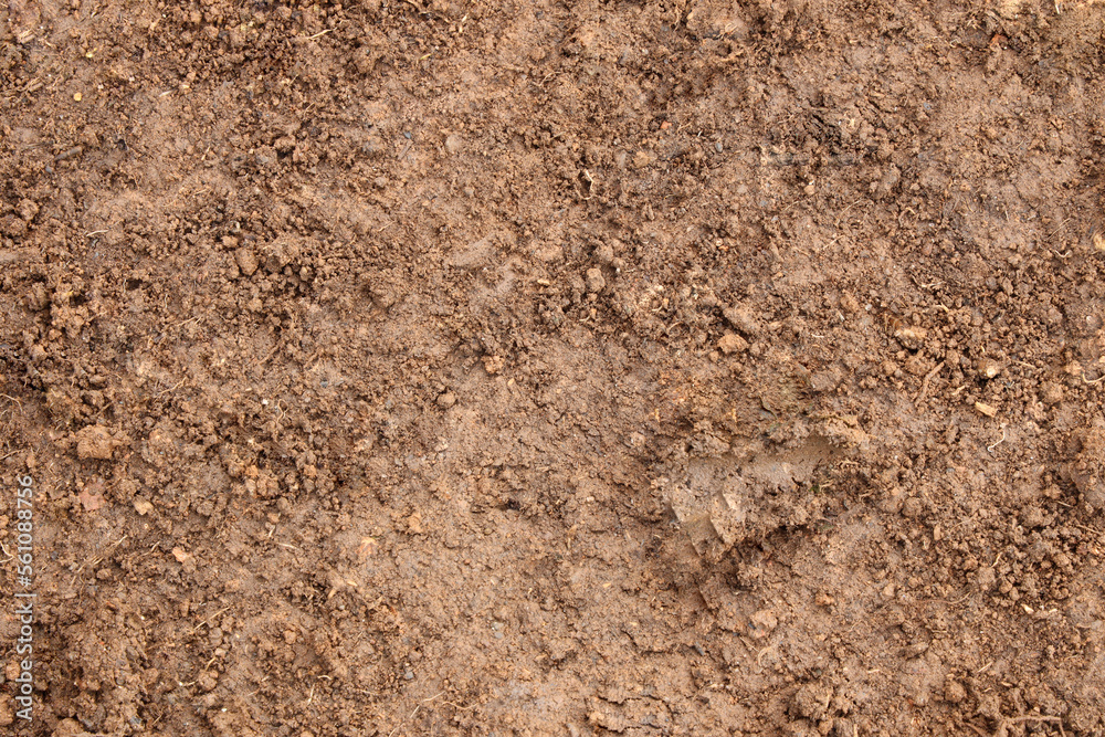 soil texture background land field ground brown soil texture background land field ground brown
