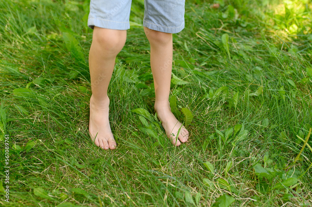 The child walks barefoot on the green grass. The effect of massage on the nerve endings of the legs is the prevention of flat feet in children. The concept of hardening, meditation. The child walks barefoot on the green grass. The effect of massage on the nerve endings of the legs is the prevention of flat feet in children. The concept of hardening, meditation.