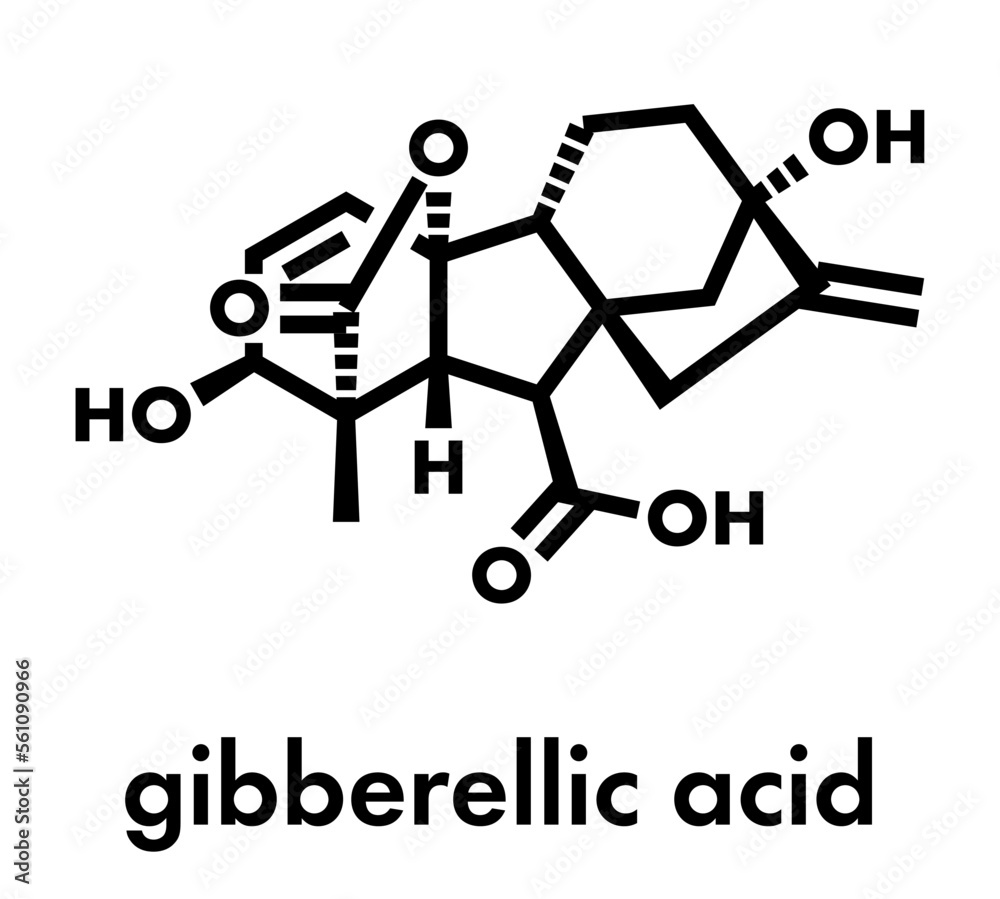 Gibberellic acid (gibberellin A3, GA3) plant hormone molecule. Skeletal formula.