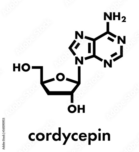 Cordycepin molecule. Skeletal formula.