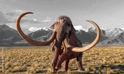 Schilderij op canvas mammoth is ready to attack in plains and mountains