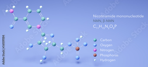molecule Nicotinamide mononucleotide, molecular structures, NMN, beta-NMN 3d model, Structural Chemical Formula and Atoms with Color Coding photo