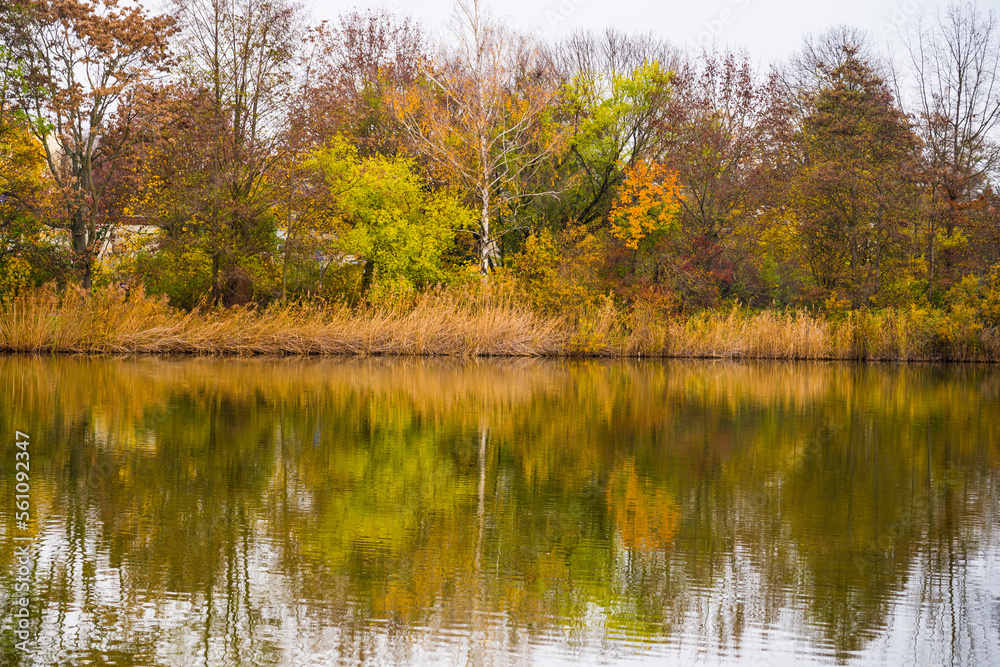 Beautiful symmetry at lake in autumn Beautiful symmetry at lake in autumn