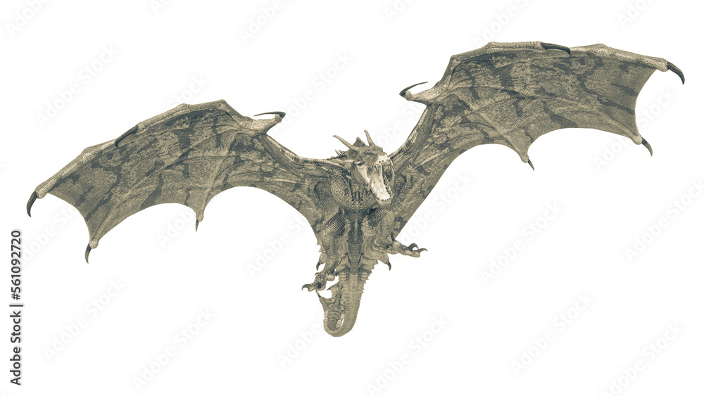 dragon is attacking on white background front view