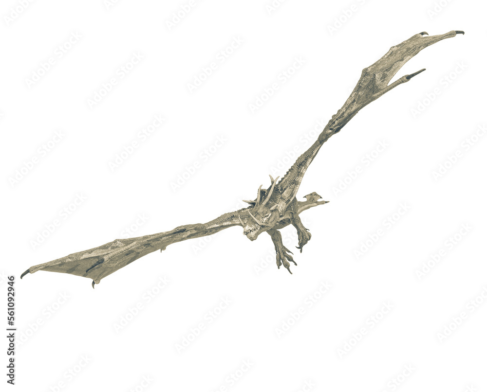 dragon is flying and turnning on white background dragon is flying and turnning on white background