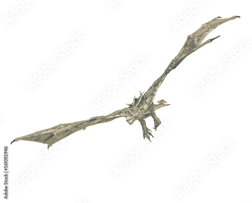 dragon is flying and turnning on white background