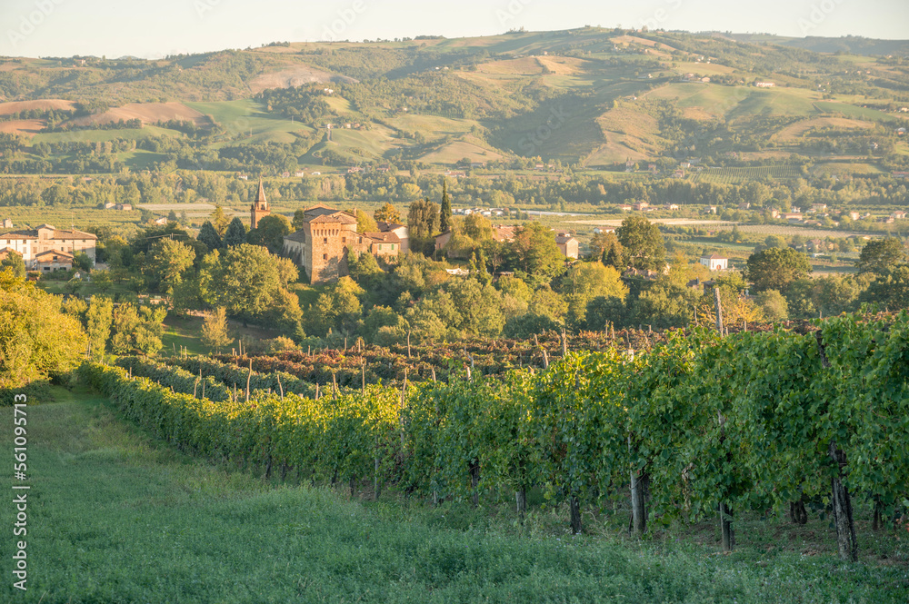 Castelvetro Levizzano Green hills, olive gardens and small vineyard under rays of afternoon Autumn sun - stock photo