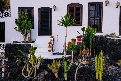 Colourful pots with cactuses next to a canarian house photo