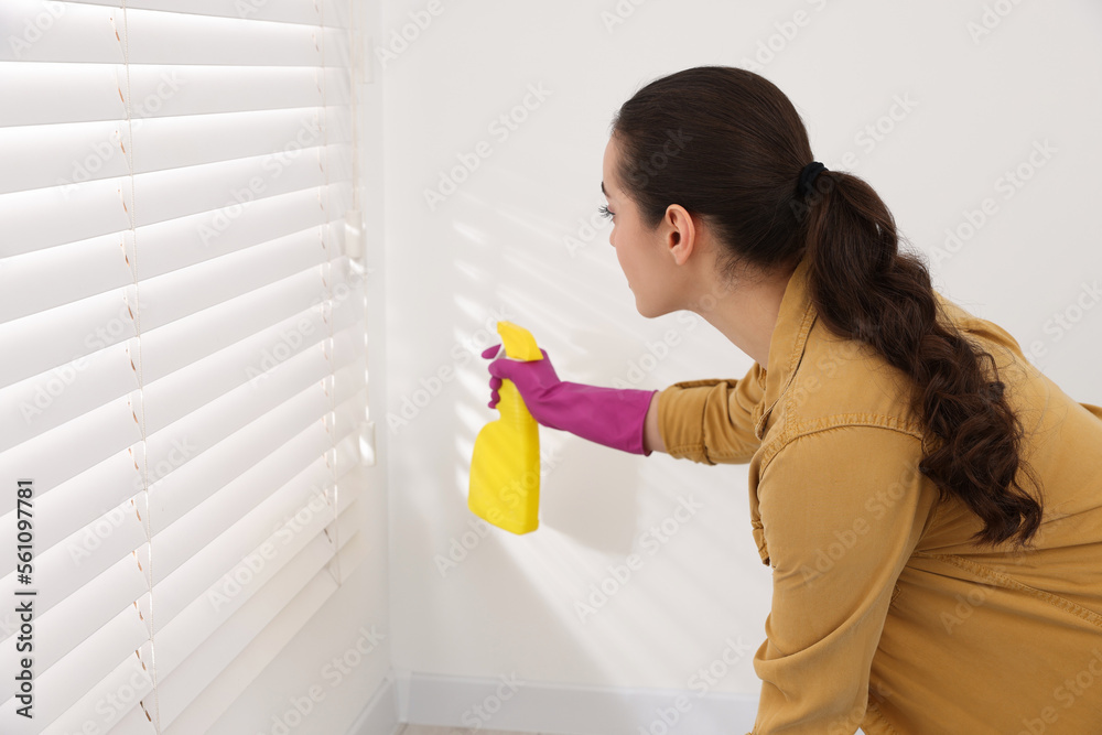 Woman in rubber glove with spray bottle near wall indoors Woman in rubber glove with spray bottle near wall indoors