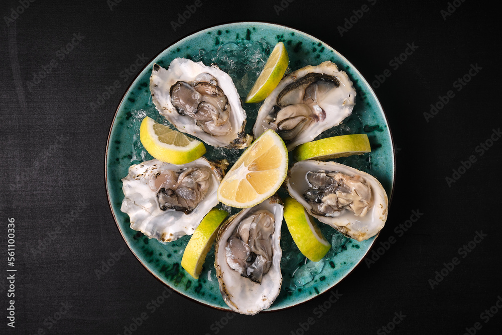 Oysters served with lemon and ice on blue plate on black background Oysters served with lemon and ice on blue plate on black background