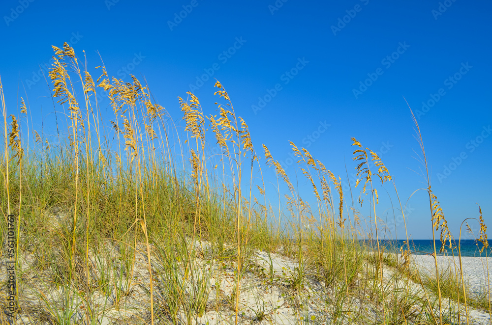 Fototapeta premium October in Orange Beach, Alabama