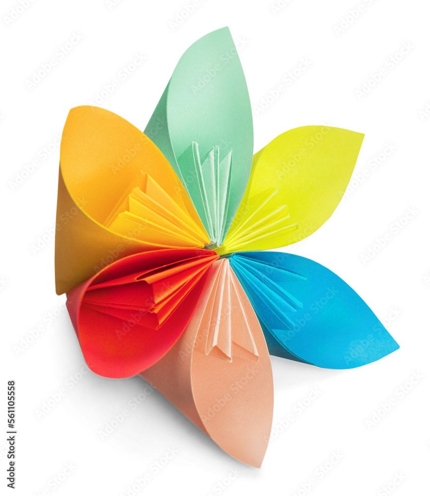 Colorful art flower exotic origami