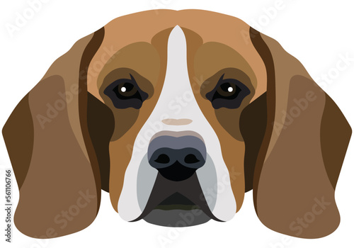 Beagle face. Vector portrait of a dog head isolated on white background.