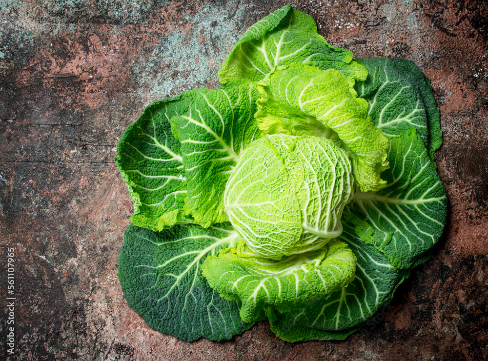 Obraz premium Juicy green cabbage.