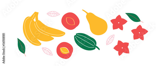 Vector Organic fruits template. Set of juicy fruits in cartoon style . Healthy lifestyle, vegetarianism