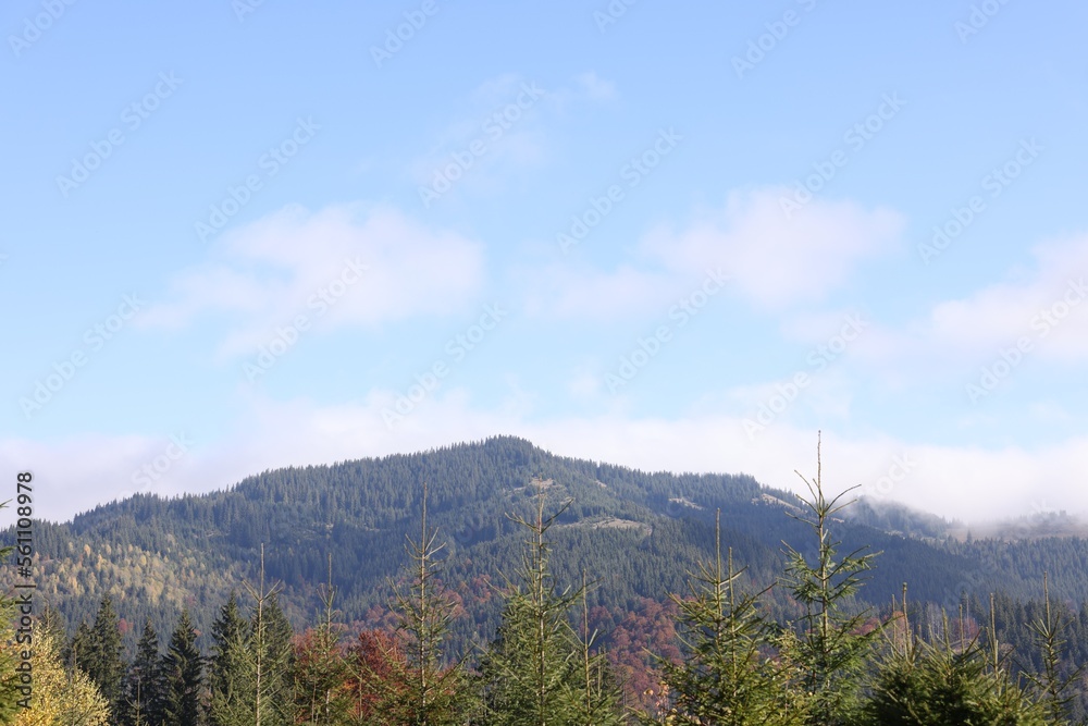Beautiful mountain landscape with forest on sunny autumn day Beautiful mountain landscape with forest on sunny autumn day
