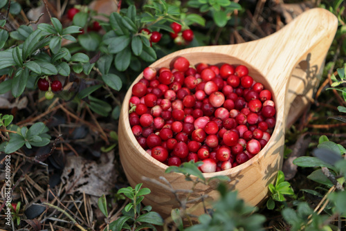 Many ripe lingonberries in wooden cup outdoors, closeup
