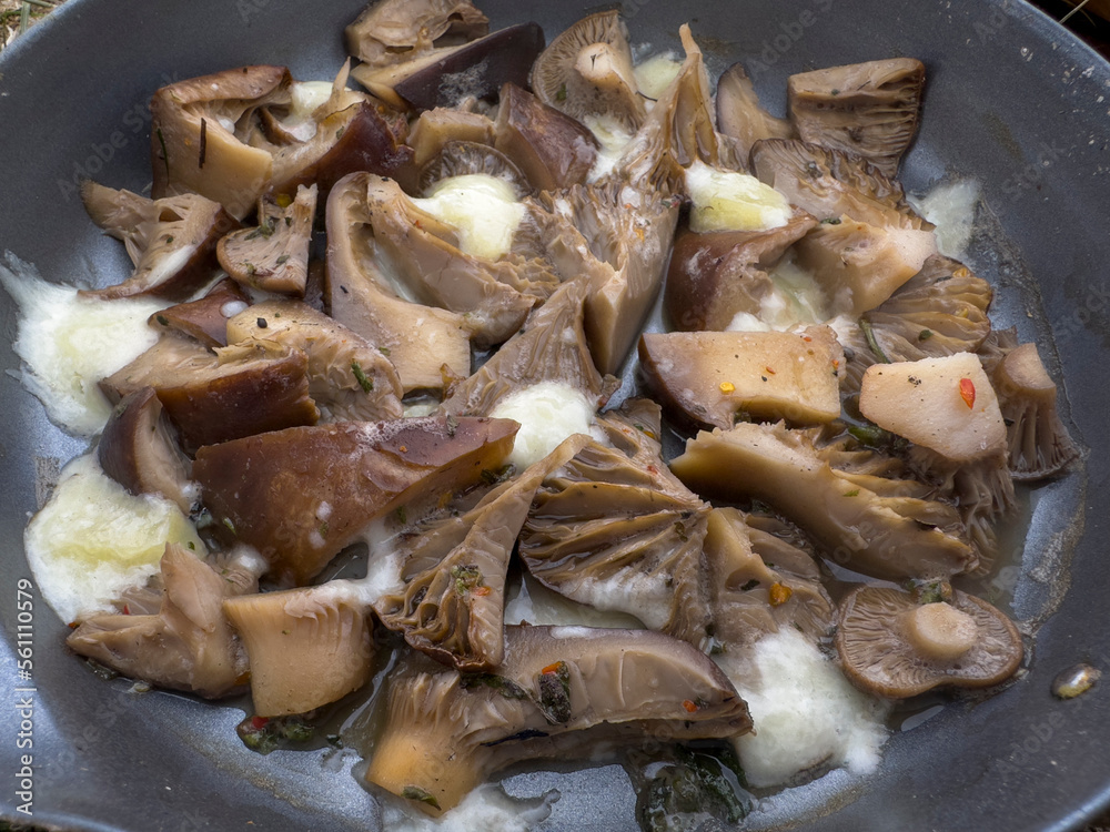 cooking natural mushrooms with butter in wood fire in nature cooking natural mushrooms with butter in wood fire in nature
