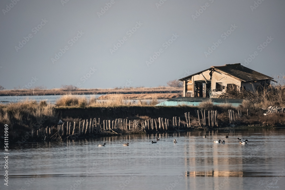 Evros Delta National Park in Thrace, Evros Greece Evros Delta National Park in Thrace, Evros Greece