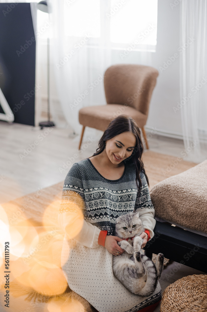 Beautiful gray cat in the arms of a pregnant woman Beautiful gray cat in the arms of a pregnant woman