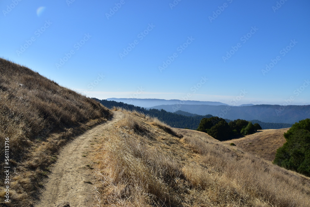 Hiking Trail with Vista